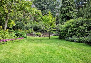 Optimiser l'expérience du jardin à Piegros-la-Clastre